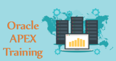 Oracle APEX Training