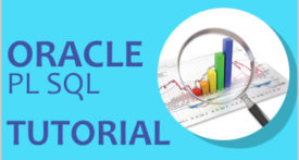 Oracle PLSQL Training
